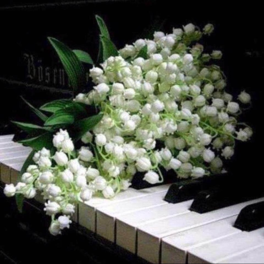 Meet your Posher, Kasia